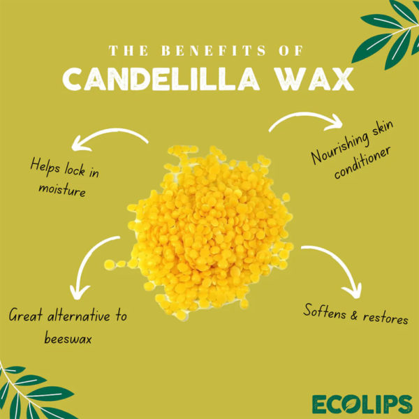 Eco Lips benefits of Candelilla wax