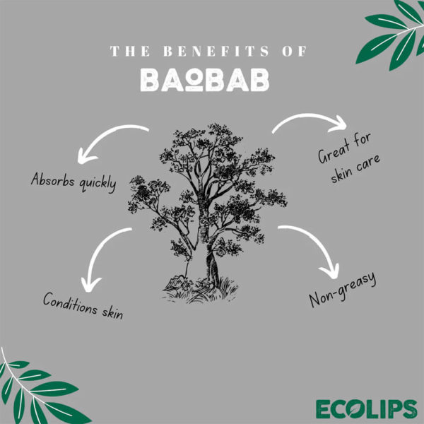 Eco Lips Lip Balm - The Benefits of Baobab Oil