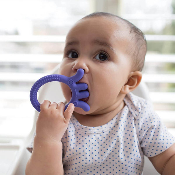 Dr. Brown's Flexees Friends Octopus Design Teether (real life usage)